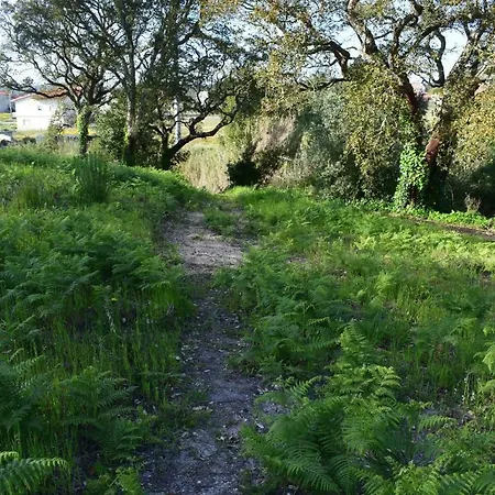 Quinta Dos Sobreiros Σπίτι διακοπών Nadadouro