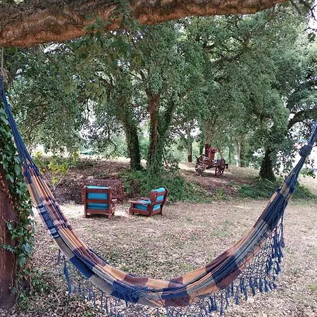 Σπίτι διακοπών Quinta Dos Sobreiros